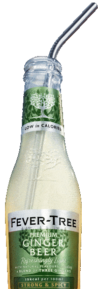   Refreshingly Light   GINGER BEER 