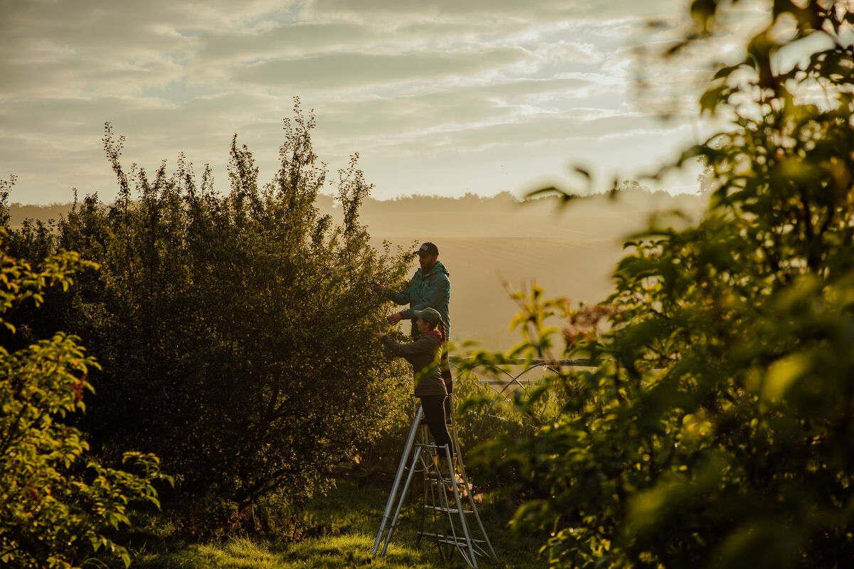 History Timeline Background